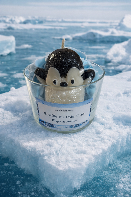 Bougie Souffle du Pôle Nord